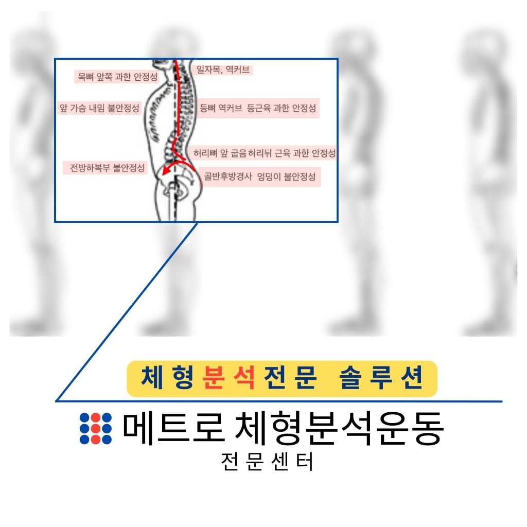 메트로체형분석운동전문센터 about page image